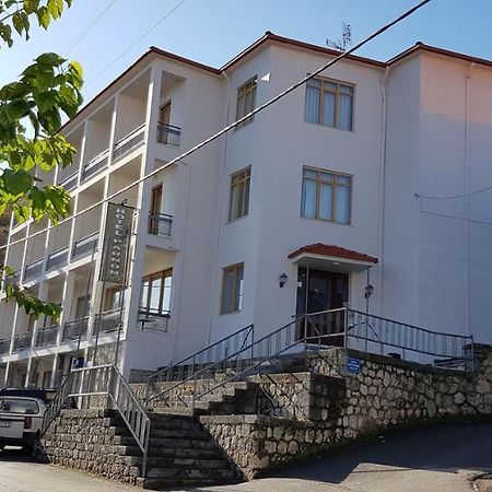 Parnon Hotel Agios Petros  Ngoại thất bức ảnh
